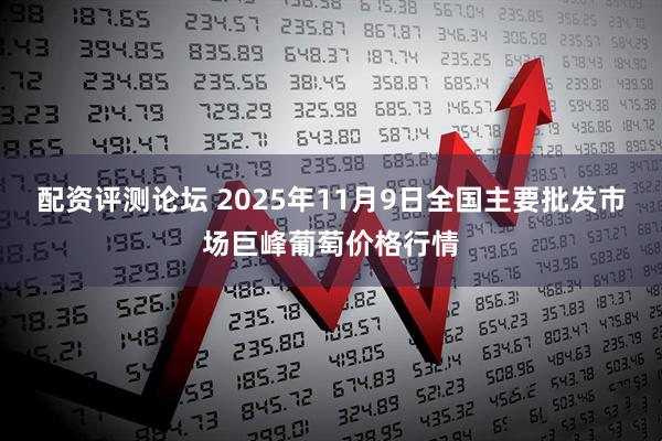 配资评测论坛 2025年11月9日全国主要批发市场巨峰葡萄价格行情